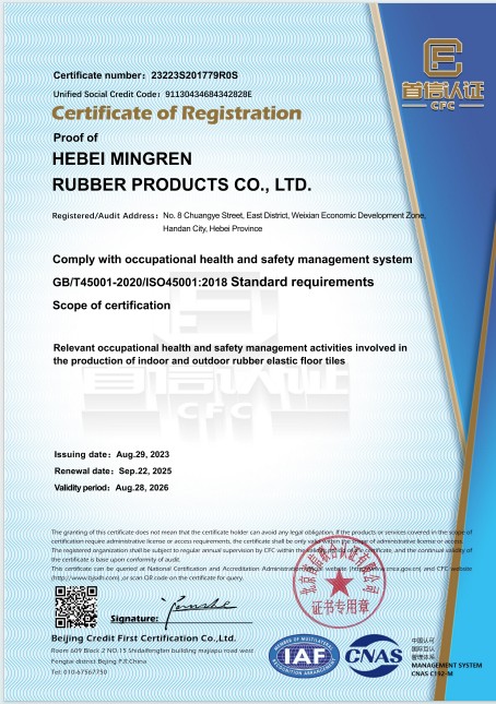 ISO 45001 — Occupational Health & Safety